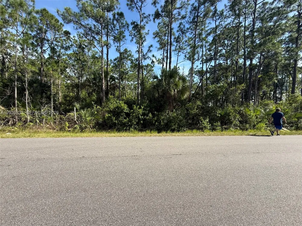 202 Jacaranda AVE NW Palm Bay, FL 32907