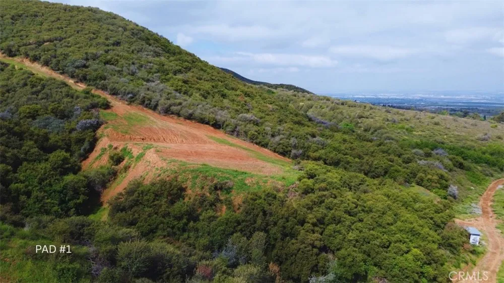 3 Plummers Lane Mentone, CA 92359
