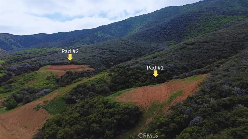 3 Plummers Lane Mentone, CA 92359