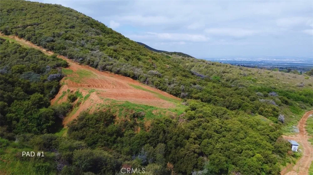 3 Plummers Lane Mentone, CA 92359