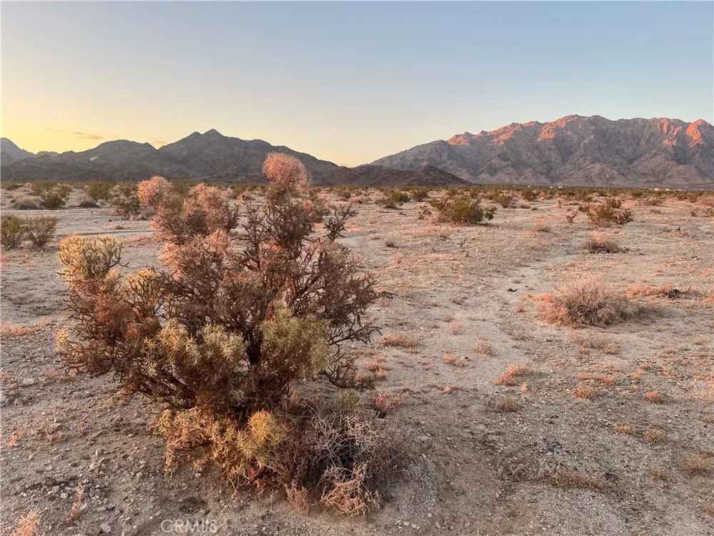 Mountain View Road 29 Palms, CA 92277