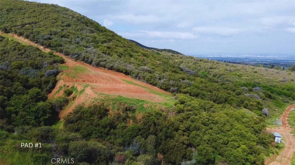 1 Plummers Lane Mentone, CA 92359