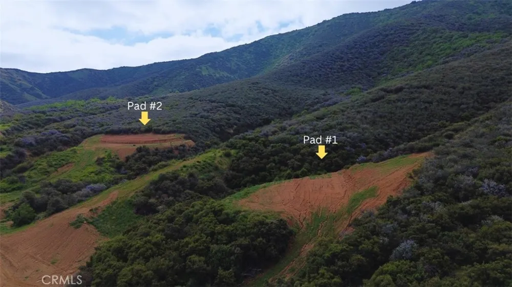 1 Plummers Lane Mentone, CA 92359