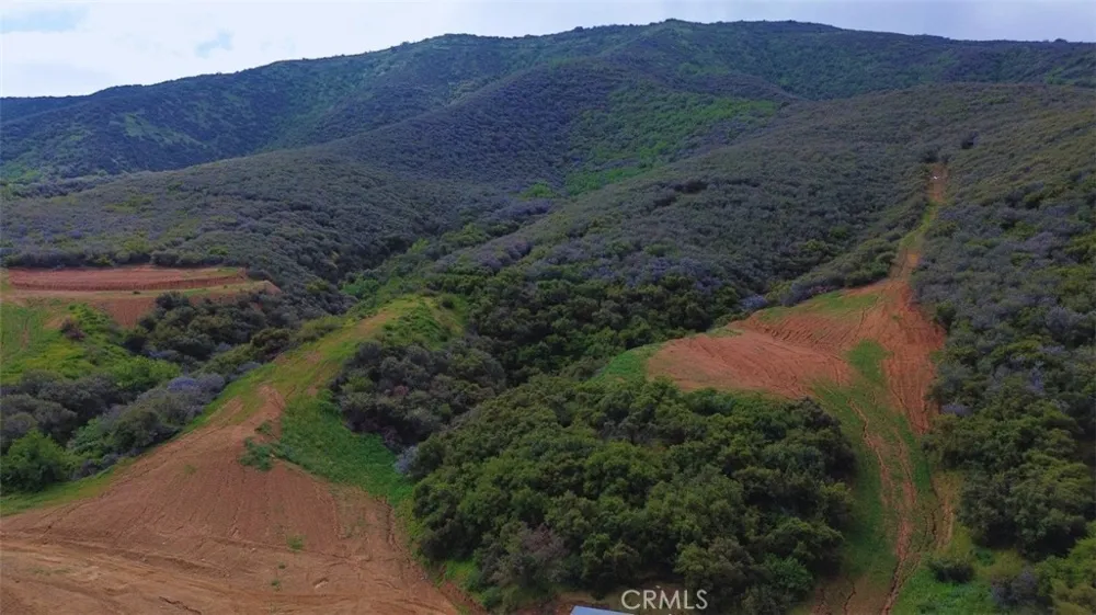 1 Plummers Lane Mentone, CA 92359