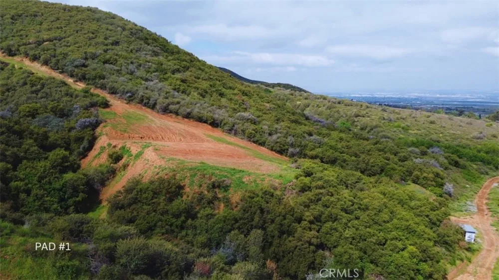 1 Plummers Lane Mentone, CA 92359