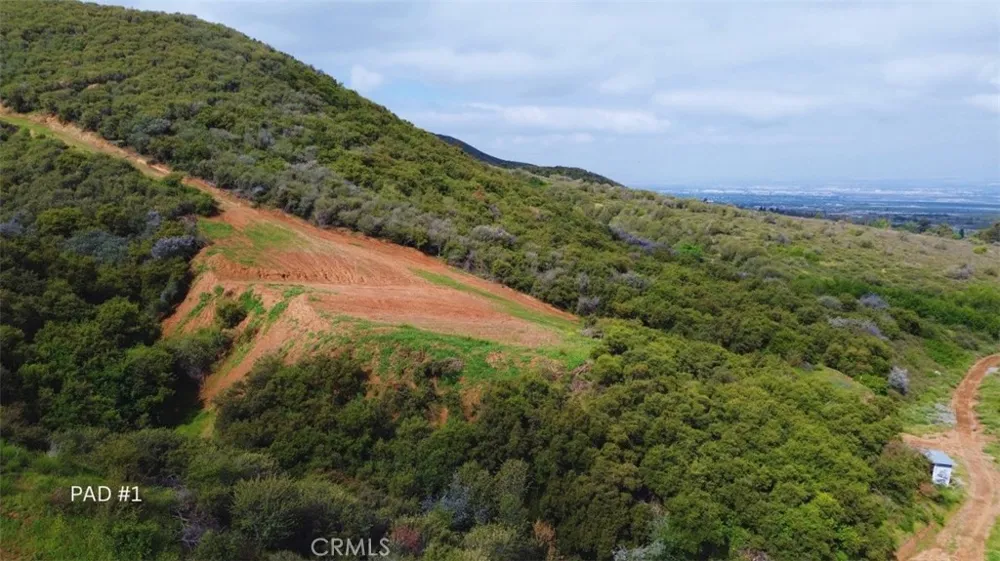2 Plummers Lane Mentone, CA 92359