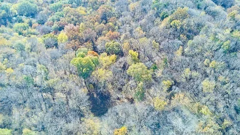 Tamaha