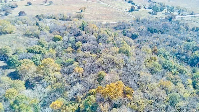 Tamaha Stigler, OK 74462