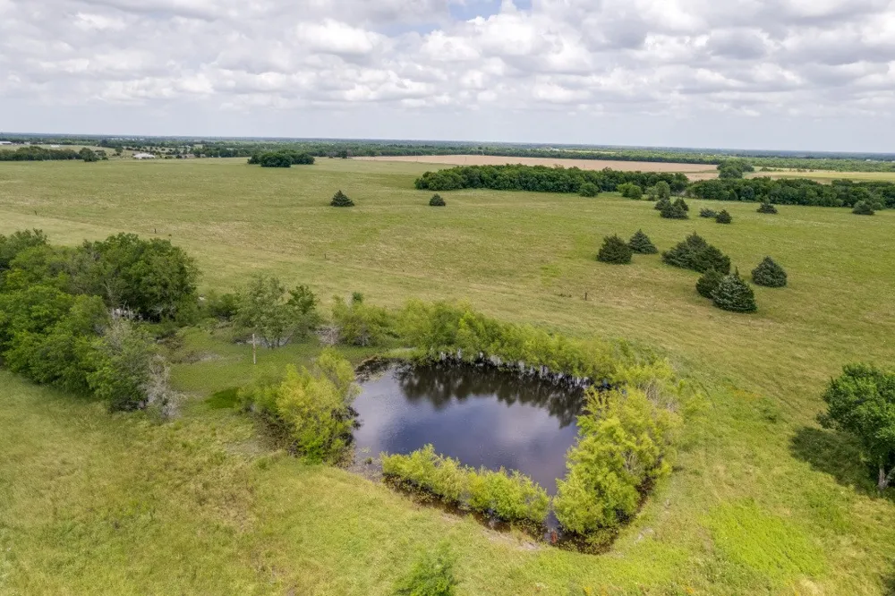 325 Fm 1566 W Wolfe City, TX 75496