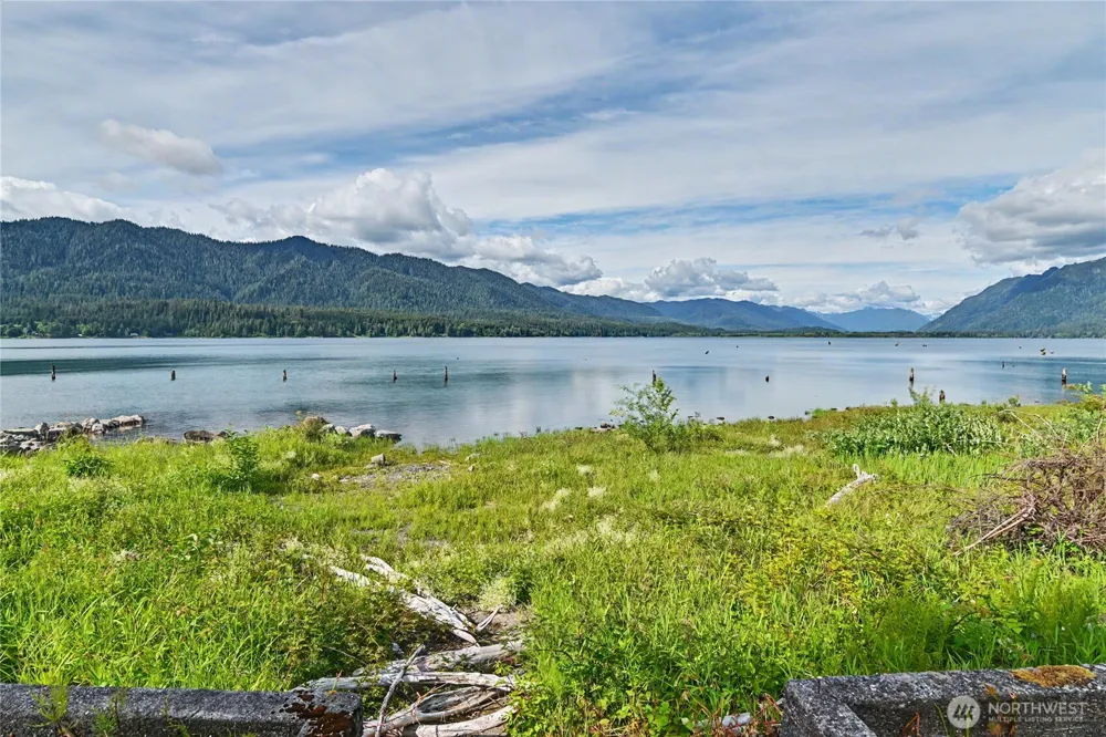 60 Lake Drive Amanda Park, WA 98526