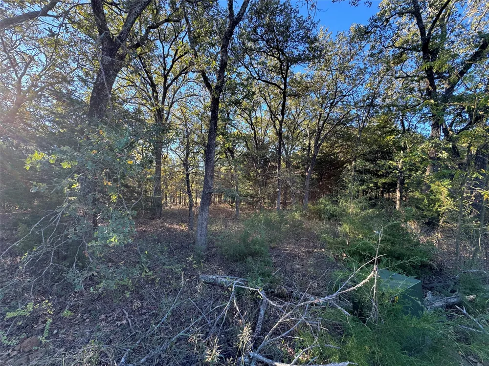 20 Timber Trail Tioga, TX 76271