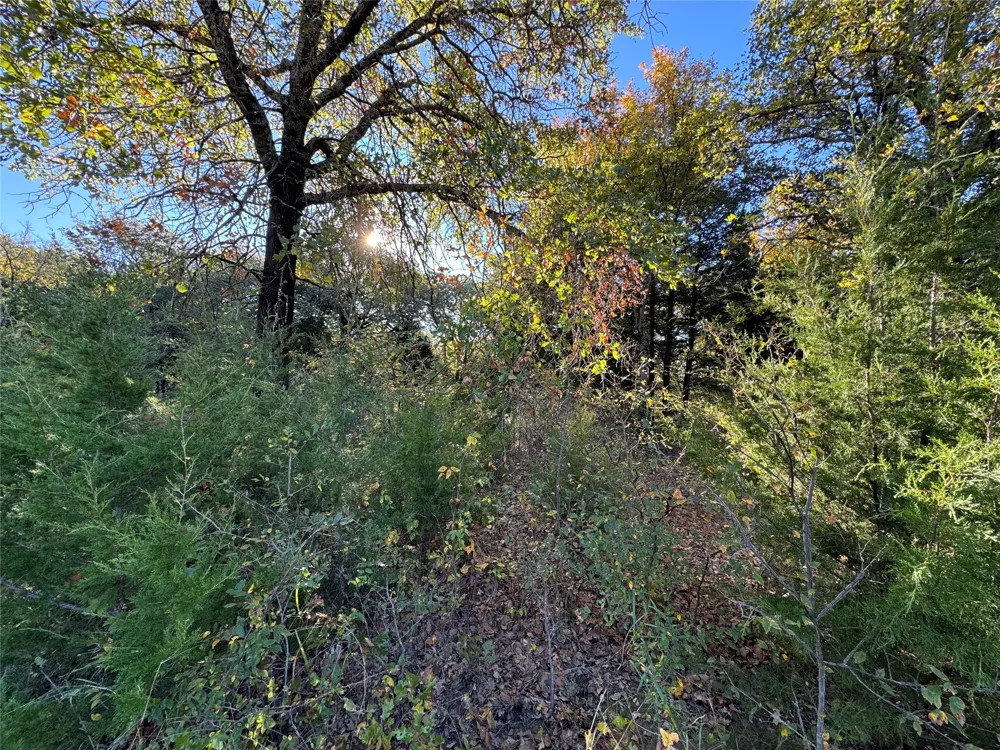 20 Timber Trail Tioga, TX 76271
