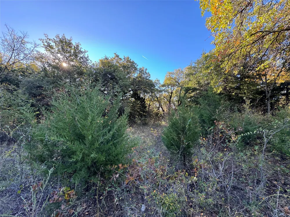 20 Timber Trail Tioga, TX 76271