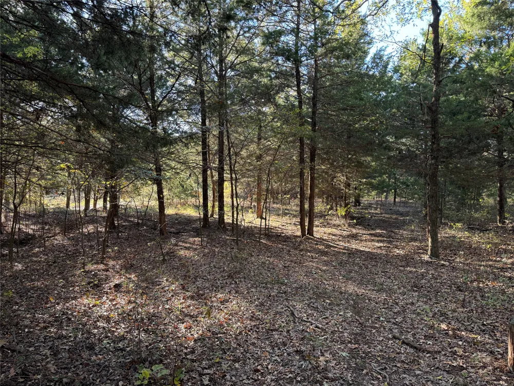 20 Timber Trail Tioga, TX 76271
