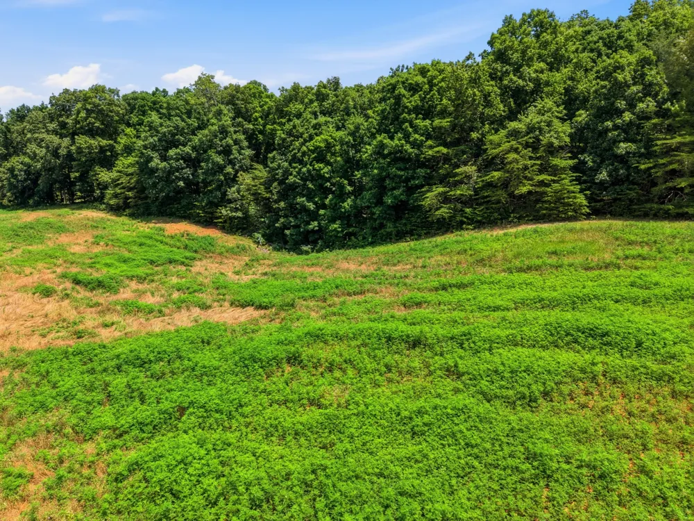 0 Ranchside court Rock Island, TN 38581