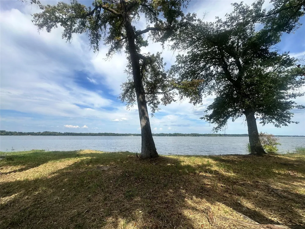 3709 Pine Wood Trail Larue, TX 75770