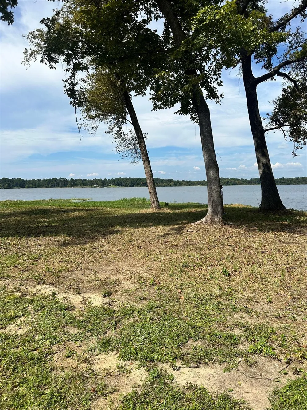 3709 Pine Wood Trail Larue, TX 75770