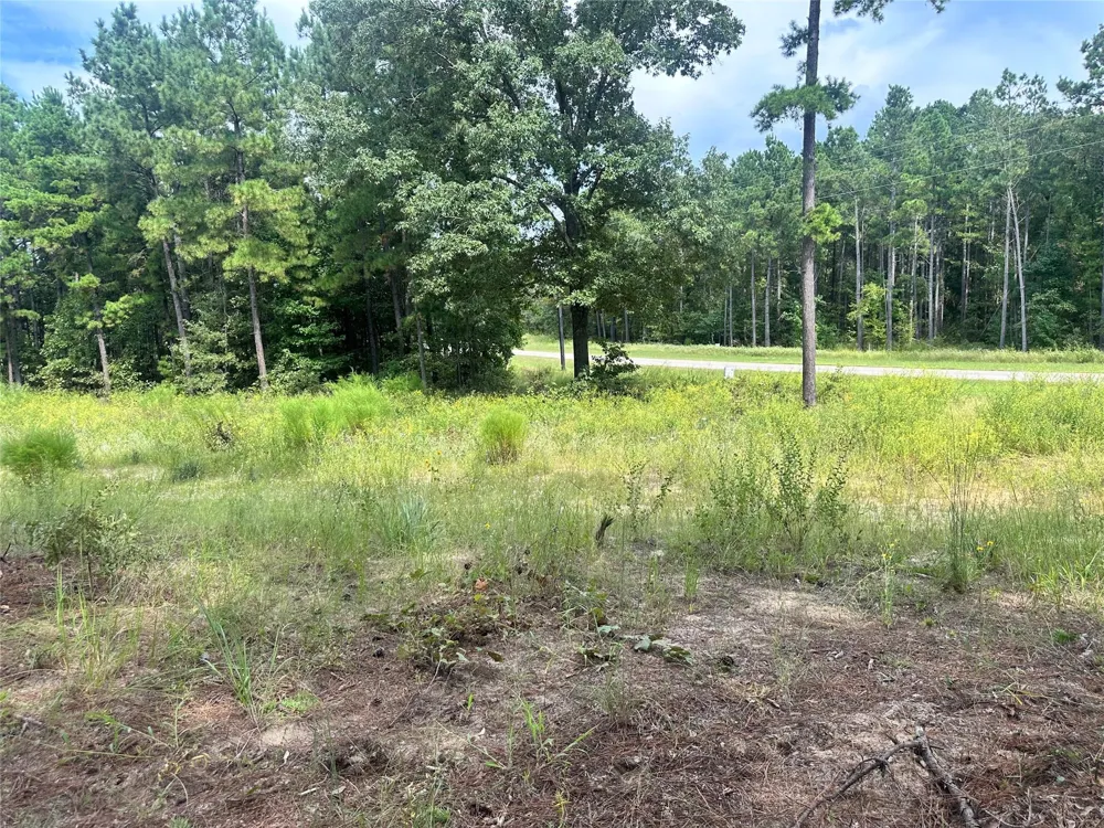 3709 Pine Wood Trail Larue, TX 75770