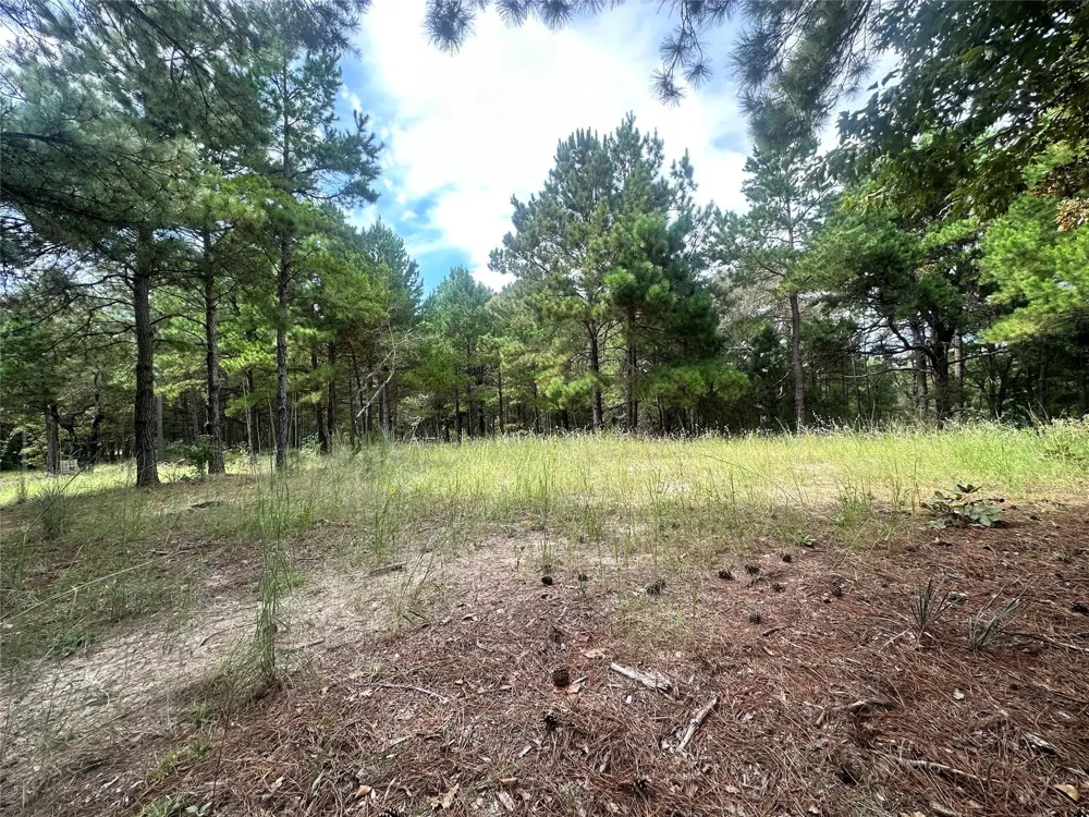 3709 Pine Wood Trail Larue, TX 75770