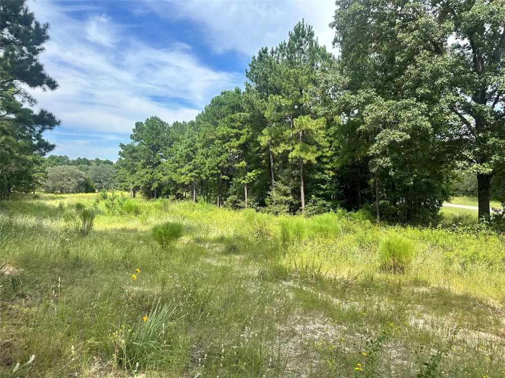 3709 Pine Wood Trail Larue, TX 75770