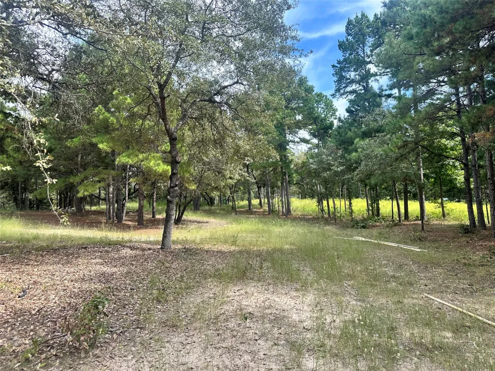 3709 Pine Wood Trail Larue, TX 75770
