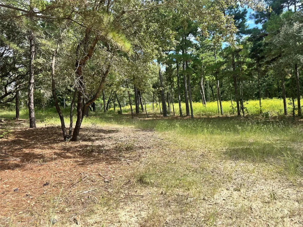 3709 Pine Wood Trail Larue, TX 75770