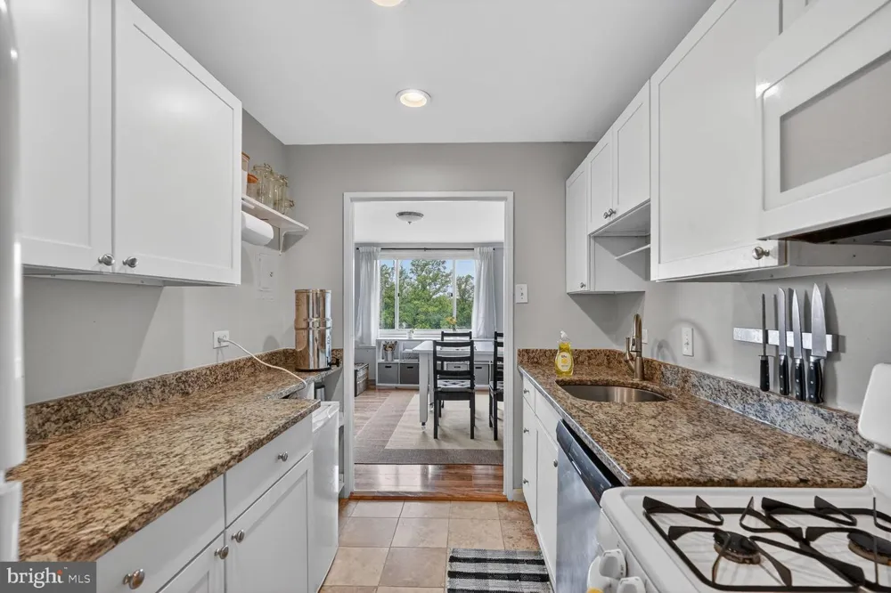 1900 LYTTONSVILLE ROAD #1217 Silver Spring, MD 20910
