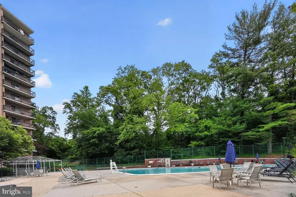 1900 LYTTONSVILLE ROAD #1217 Silver Spring, MD 20910