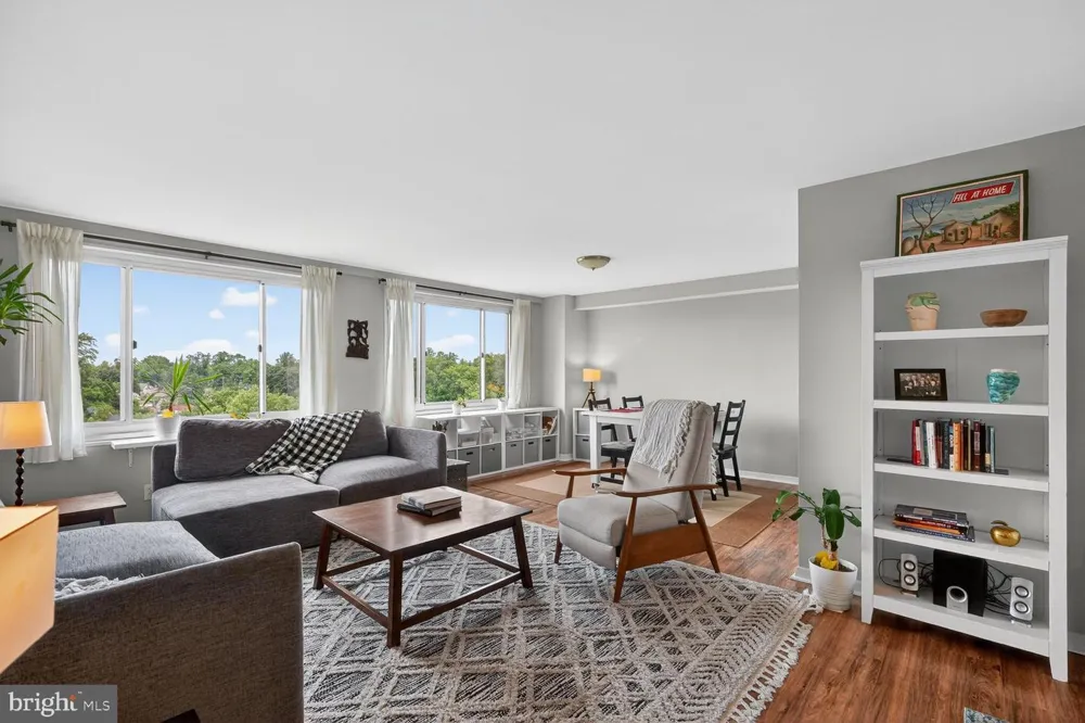 1900 LYTTONSVILLE ROAD #1217 Silver Spring, MD 20910