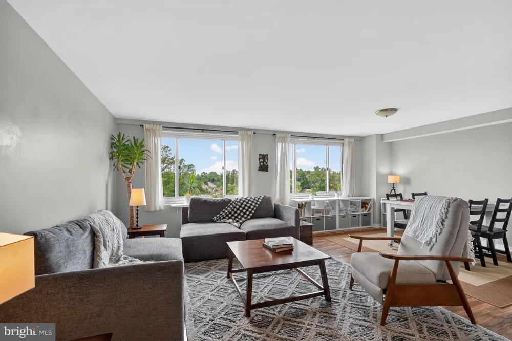 1900 LYTTONSVILLE ROAD #1217 Silver Spring, MD 20910