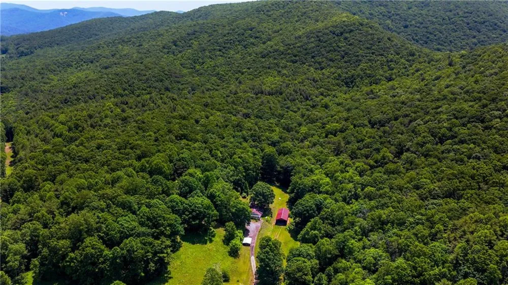 239 Glen Elliott Road Suches, GA 30572