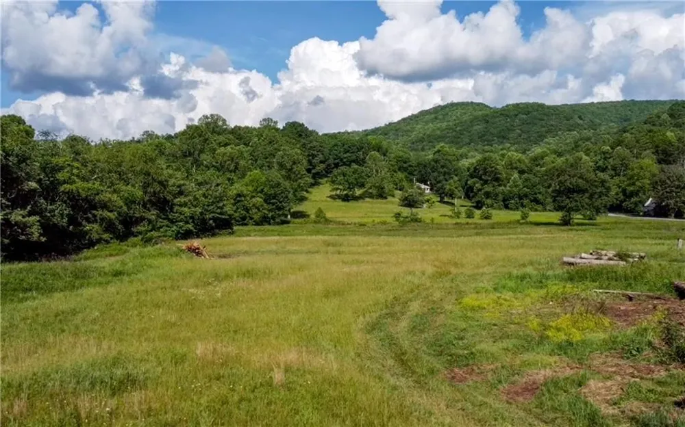239 Glen Elliott Road Suches, GA 30572
