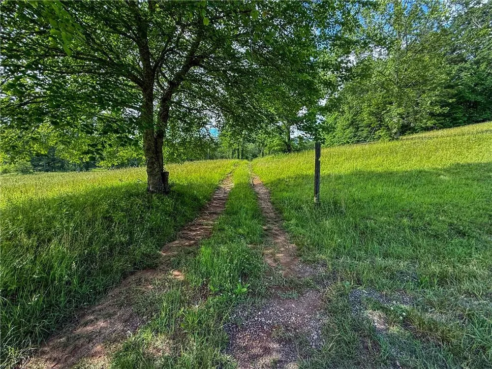 239 Glen Elliott Road Suches, GA 30572