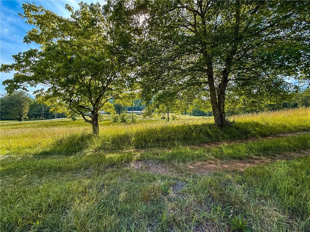 239 Glen Elliott Road Suches, GA 30572
