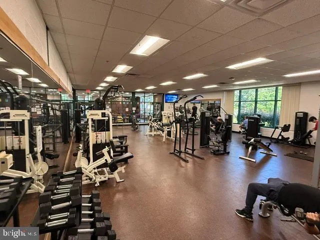 1900 LYTTONSVILLE ROAD #1217 Silver Spring, MD 20910