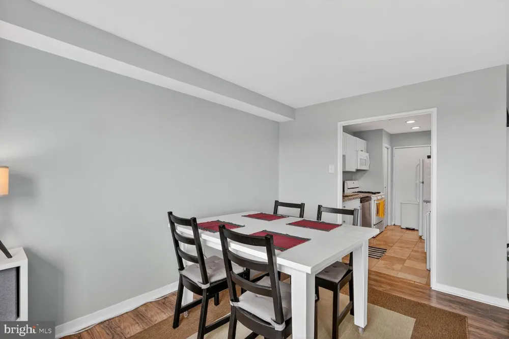1900 LYTTONSVILLE ROAD #1217 Silver Spring, MD 20910