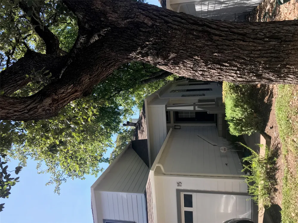 1011 Brodie Street #15 Austin, TX 78704