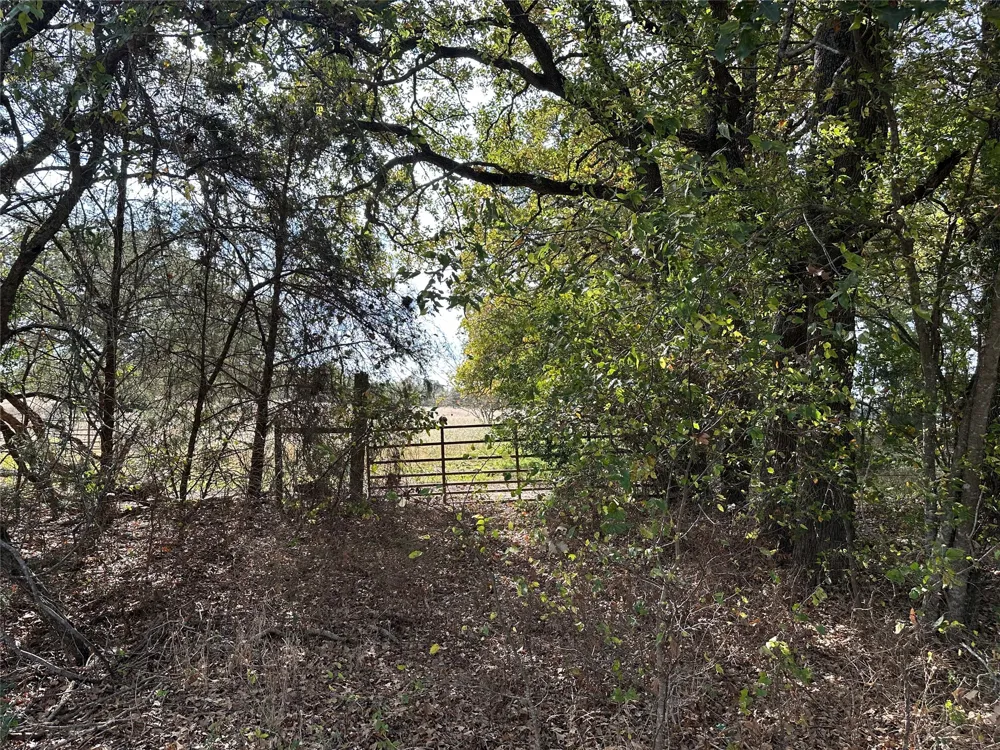 LCR 758 Thornton, TX 76687