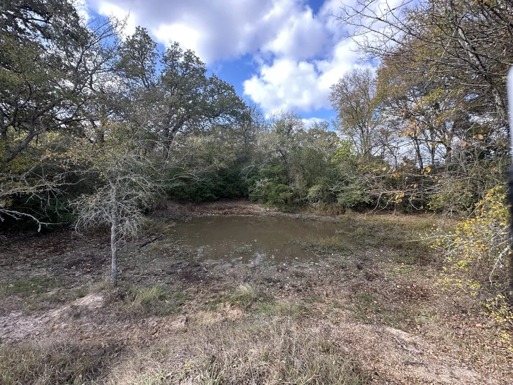 LCR 758 Thornton, TX 76687
