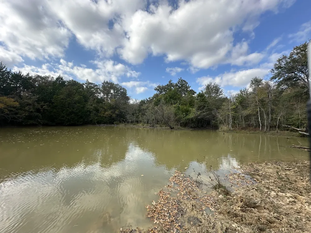 LCR 758 Thornton, TX 76687