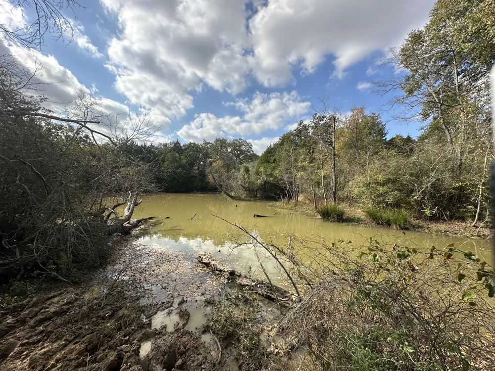 LCR 758 Thornton, TX 76687