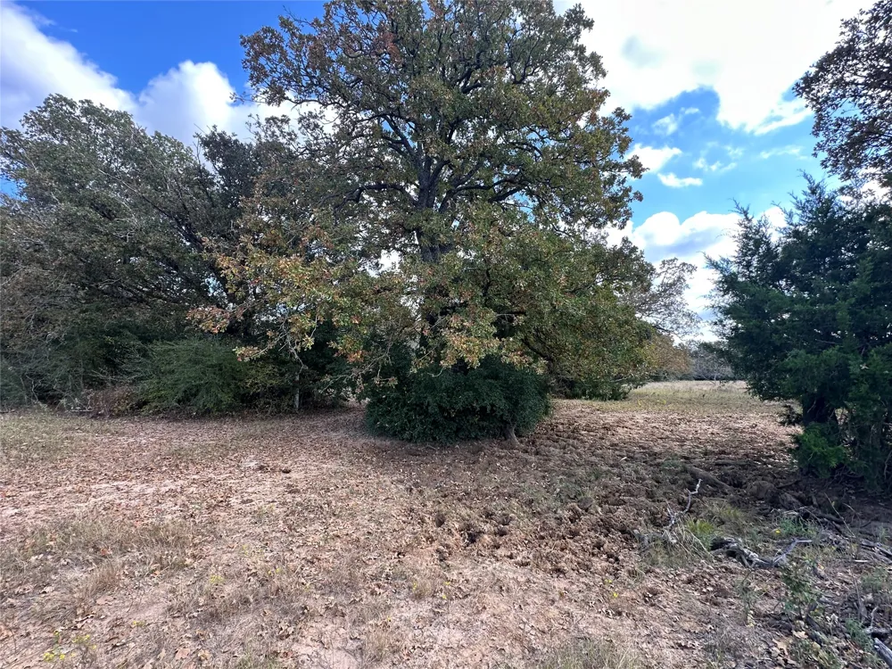 LCR 758 Thornton, TX 76687