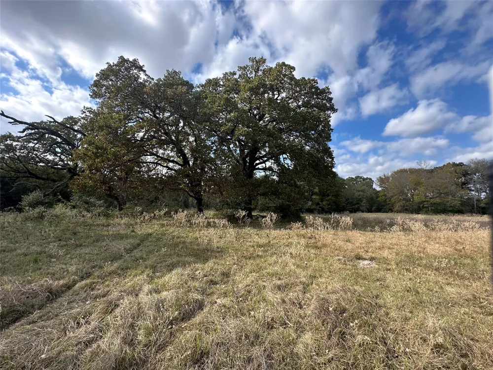 LCR 758 Thornton, TX 76687