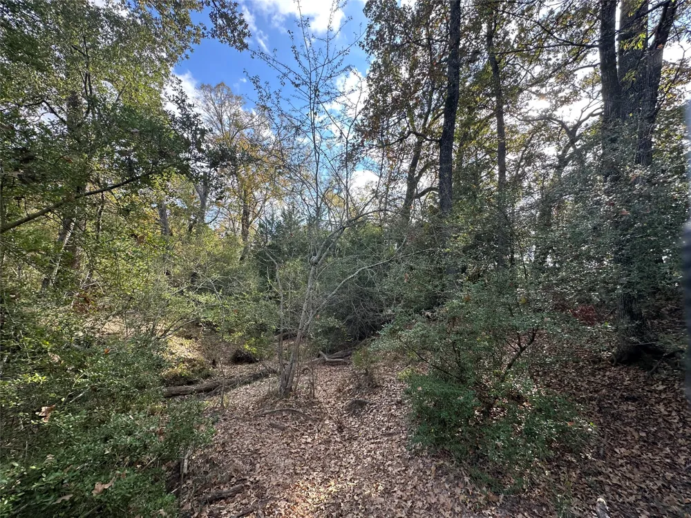 LCR 758 Thornton, TX 76687