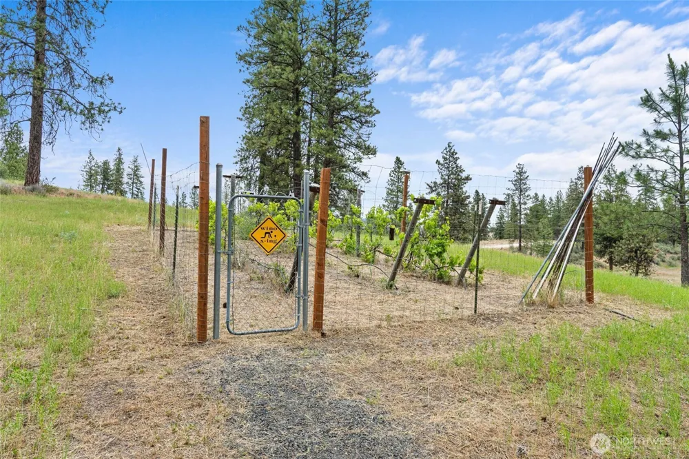 40048 Cayuse Cove E Davenport, WA 99122