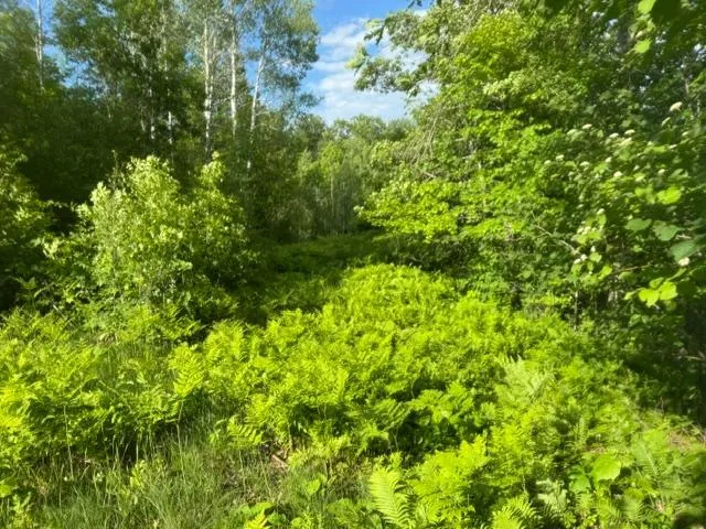 23506 Bezanis Road Cohasset, MN 55721