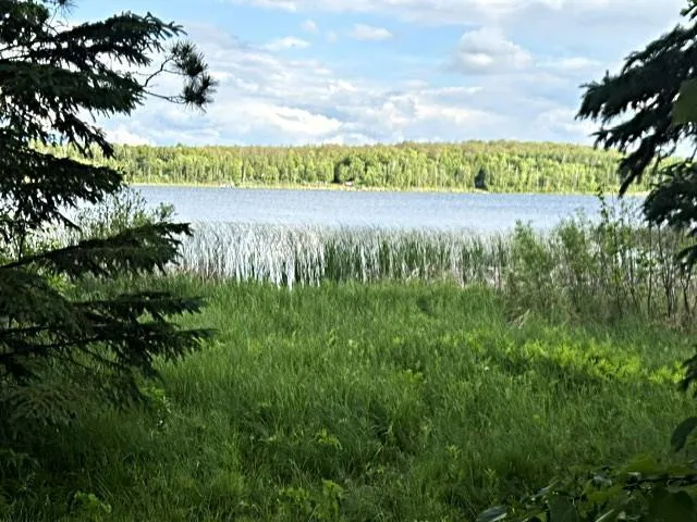 23506 Bezanis Road Cohasset, MN 55721