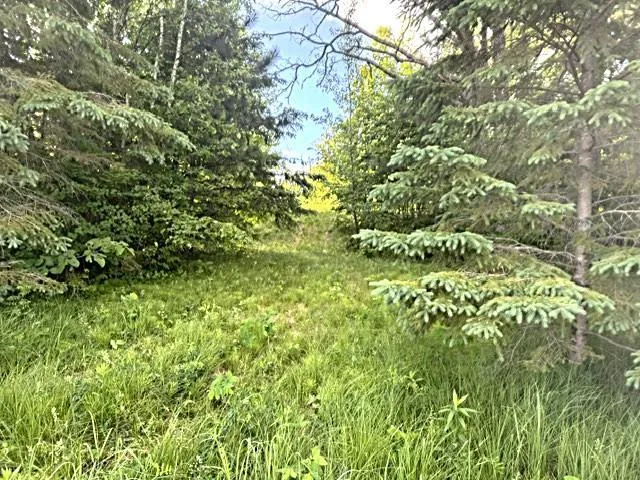 23506 Bezanis Road Cohasset, MN 55721