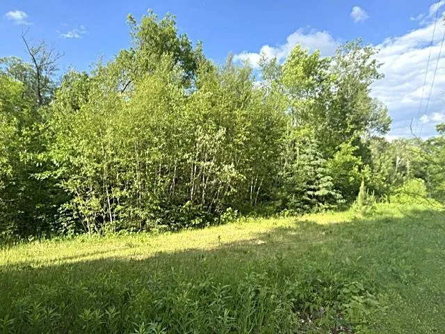 23506 Bezanis Road Cohasset, MN 55721