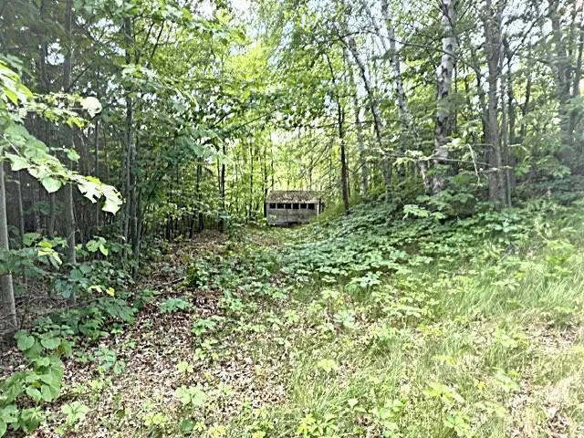 23506 Bezanis Road Cohasset, MN 55721